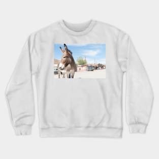 Oatman donkey in main street of small old ghost town on Route 66. Crewneck Sweatshirt